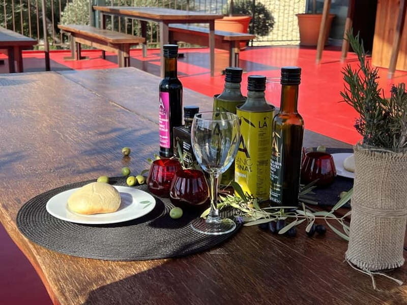 Ronda: LA Almazara LA Organic, Olive Oil Museum and Tasting - A Closer Look at the Tour Experience