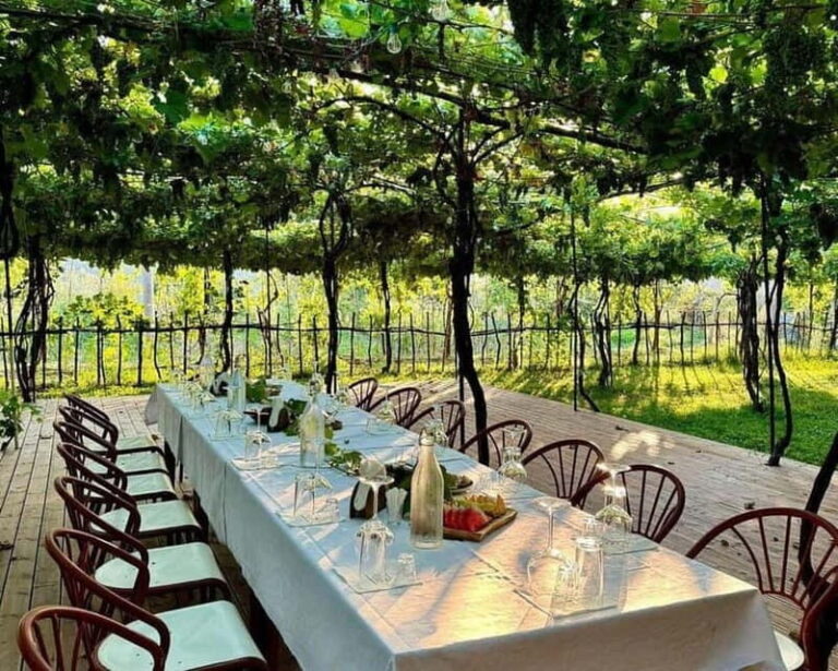 Roshnik: Wine Tasting Experience at the Agrotourism Winery - The Vineyard Walk and the Winerys Roots
