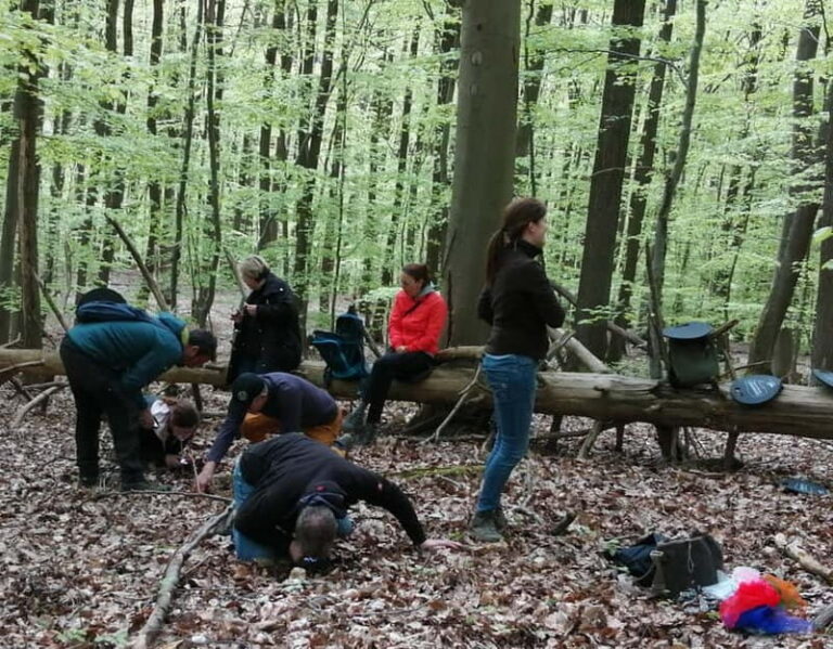 Rotenburg an der Fulda: Forest bathing with a certified guide - Final thoughts: Is this forest bathing tour right for you?