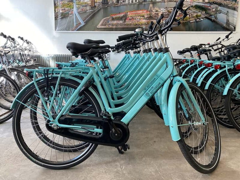 Rotterdam: City Highlights Guided Bike Tour - Why This Bike Tour Stands Out