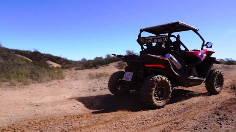 Round-Trip Coastal Buggy Tour in Tenerife - Why This Tour Is Worth Considering