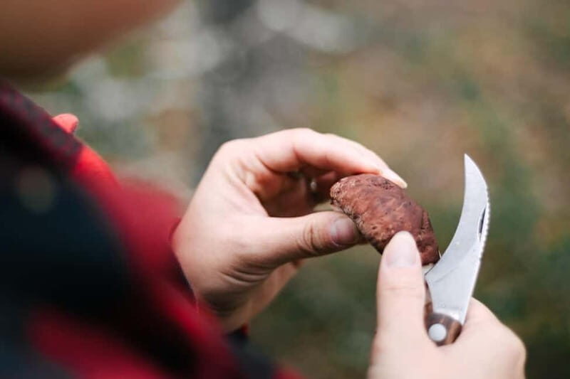 Rovaniemi: Arctic Wild Berry & Mushroom Foraging and Tasting - Practical Details and Value