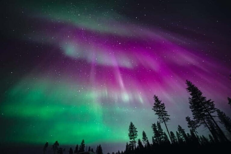 Rovaniemi: Aurora Hunting Group Tour - Guaranteed View - The Experience in Detail