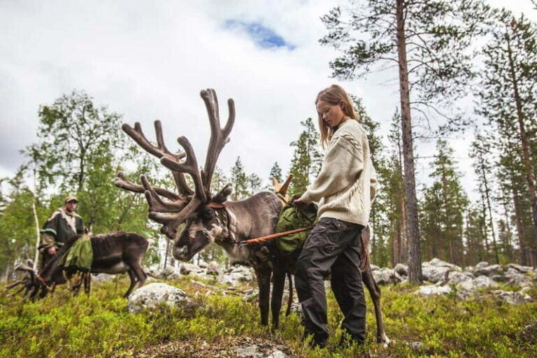 Rovaniemi: Autumn Reindeer Farm Visit - Practical Details and Considerations