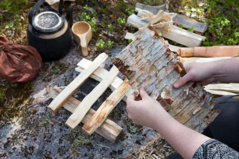 Rovaniemi: Autumn-Summer Arctic Survival Tour - What to Expect During the Tour