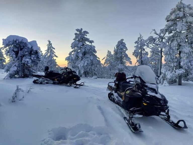 Rovaniemi: Backwoods Adventure Full Day Snowmobile Safari - The Sum Up