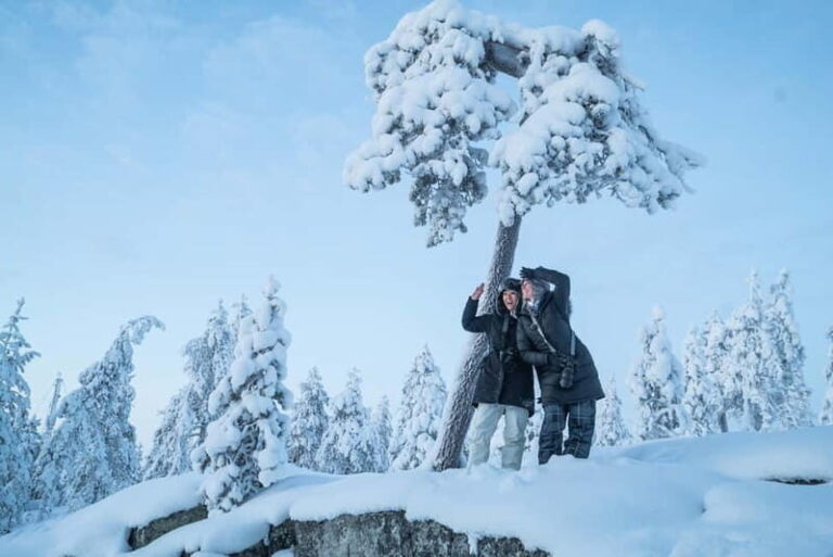 Rovaniemi City Photography Tour - An In-Depth Look at the Rovaniemi City Photography Tour