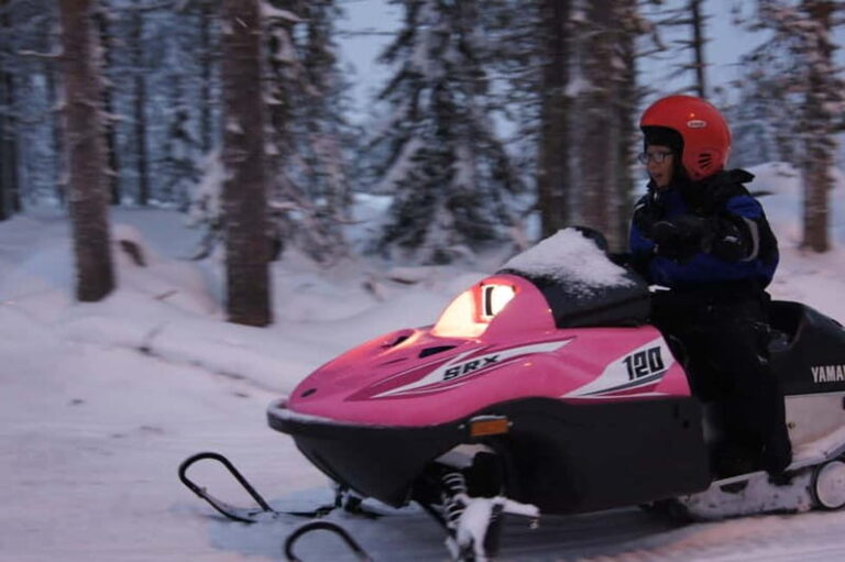 Rovaniemi: Family Snowmobile Safari - Why This Tour Offers Great Value