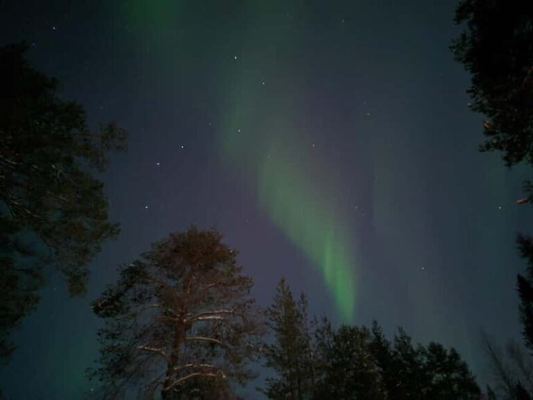 Rovaniemi: Guaranteed Northern Lights Magic Adventure - The Value of This Northern Lights Tour