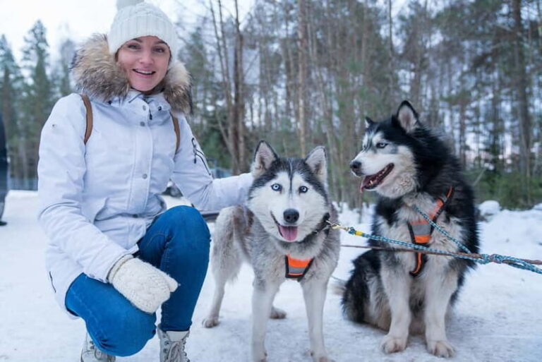 Rovaniemi: Husky Farm and Reindeer Experience - How the Tour is Structured