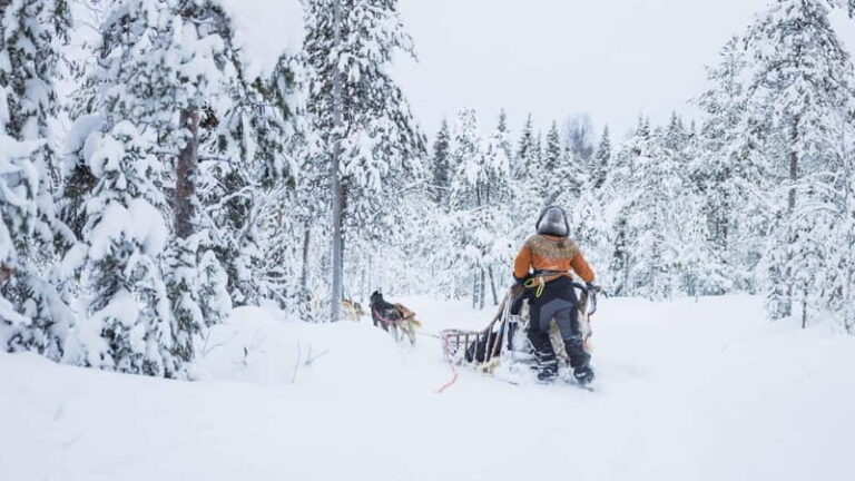 Rovaniemi: Husky & Reindeer Experience with Snowmobile Ride - Practical Details and Comfort