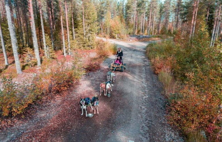 Rovaniemi: Husky Safari & Campfire BBQ  610 km SelfDrive - The Practicalities: What You Need to Know