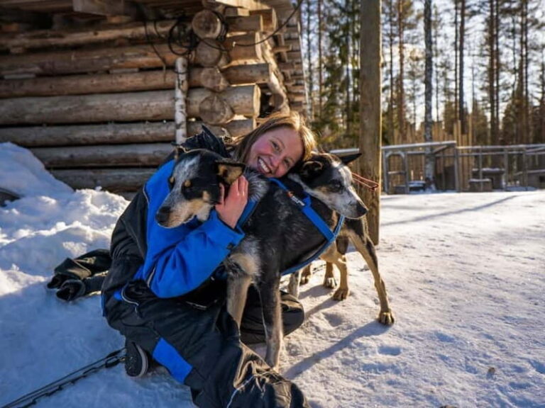 Rovaniemi: Husky Safari & Campfire BBQ  610 km SelfDrive - What the Experience Includes