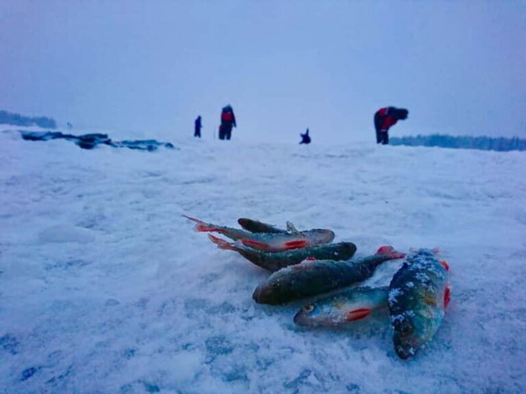 Rovaniemi: Ice Fishing by Snowmobile - An In-Depth Look at the Rovaniemi Ice Fishing by Snowmobile Tour