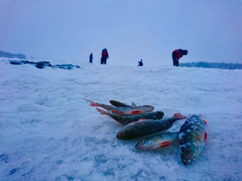 Rovaniemi: Ice Fishing by Snowmobile - An In-Depth Look at the Rovaniemi Ice Fishing by Snowmobile Tour