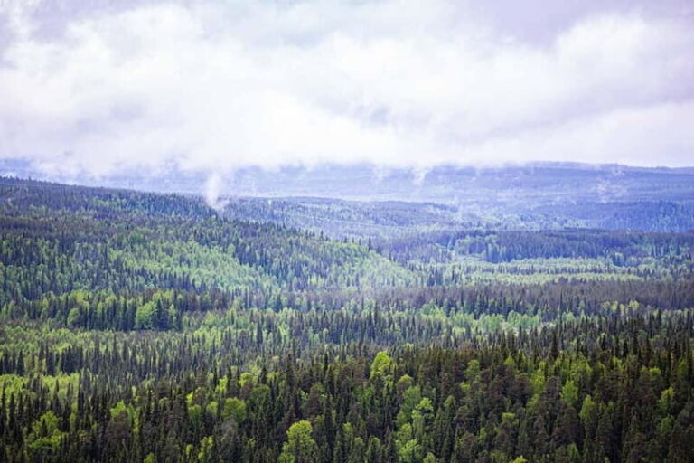Rovaniemi: Korouoma Canyon and Auttiköngäs Falls Tour - Lunch and Photography Tips