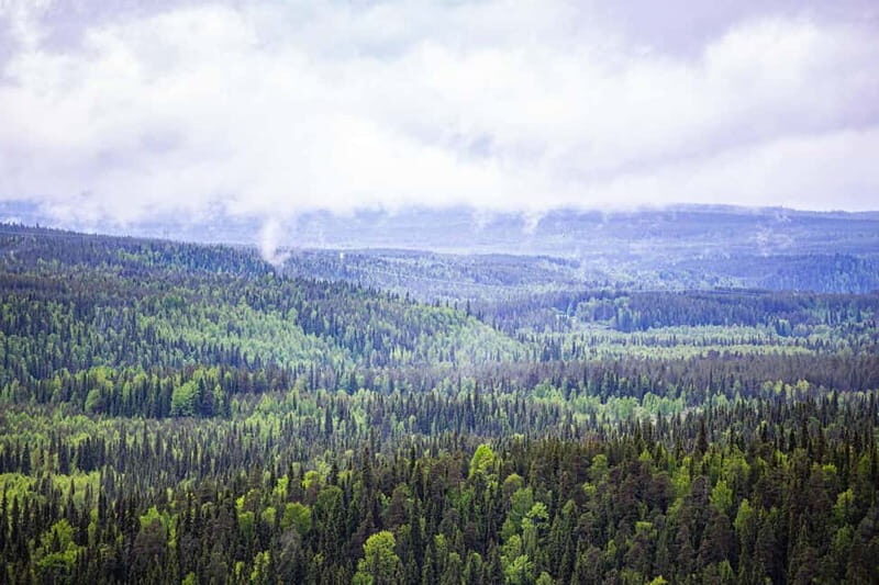 Rovaniemi: Korouoma Canyon and Auttiköngäs Falls Tour - Lunch and Photography Tips