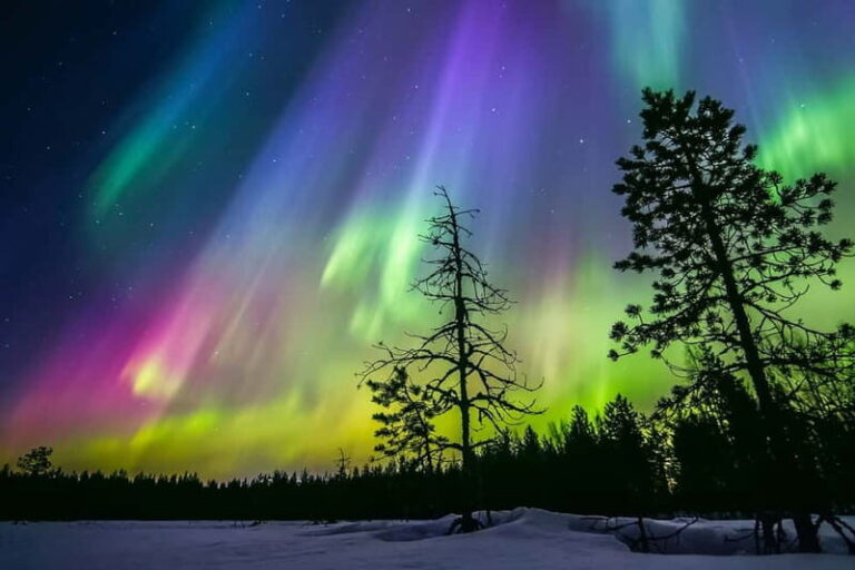 Rovaniemi: Lakeside Private Sauna with Aurora Borealis - The Guides and Their Role