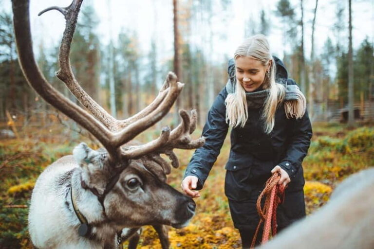 Rovaniemi: Meet Santa Claus and His Friends - Why This Tour Delivers for Travelers