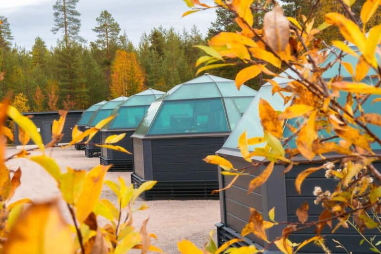Rovaniemi: Private sauna & outdoor jacuzzi, dinner in Kota - Why This Tour Offers Real Value