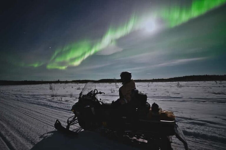 Rovaniemi: Private Snowmobile Trip in Lapland - What to Expect During the Tour