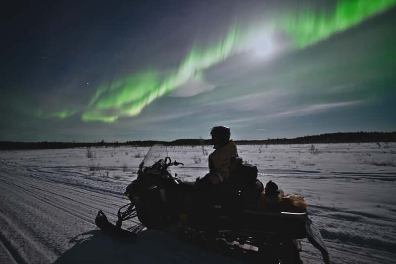 Rovaniemi: Private Snowmobile Trip in Lapland - What to Expect During the Tour