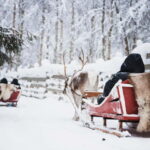 Rovaniemi: Reindeer, Huskies & Santa Claus Village - Practical Details and Considerations