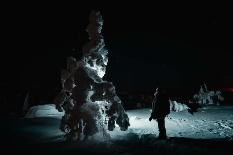 Rovaniemi: Riisitunturi National Park Night Photography Tour - Exploring the Tour in Detail