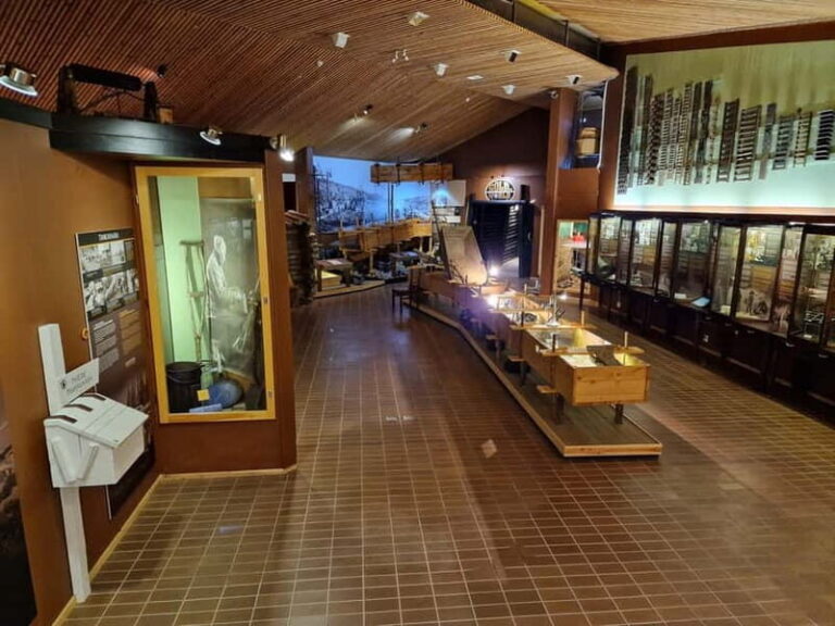 Rovaniemi to Tankavaara Gold Village & Gold Panning - The Journey from Rovaniemi to Tankavaara