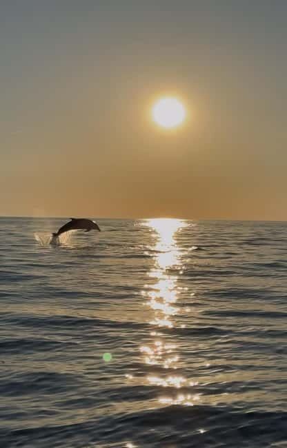 Rovinj: Shared Dolphin and Sunset Tour with Drinks - Why This Tour Works Well for Travelers