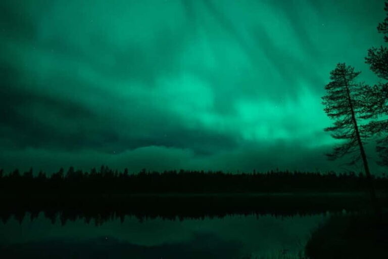 Ruka: Guided Northern Lights Hike - The Sum Up