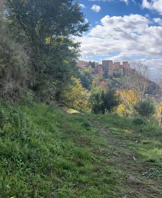 Running Tour in Granada - Practical Details and Value