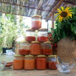 Rural Life Experience: Mojo Workshop and botanical Walk - Discovering La Gomera’s Rural Charm in Depth