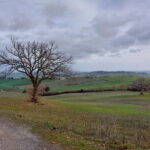 S.Miniato e-bike tour and aperitif (optional yoga at sunset) - Discovering Tuscany with a guided e-bike tour