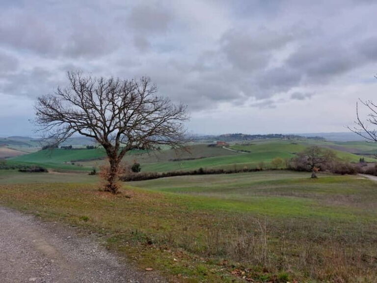 S.Miniato e-bike tour and aperitif (optional yoga at sunset) - Discovering Tuscany with a guided e-bike tour