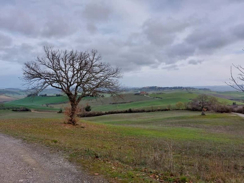S.Miniato e-bike tour and aperitif (optional yoga at sunset) - Discovering Tuscany with a guided e-bike tour