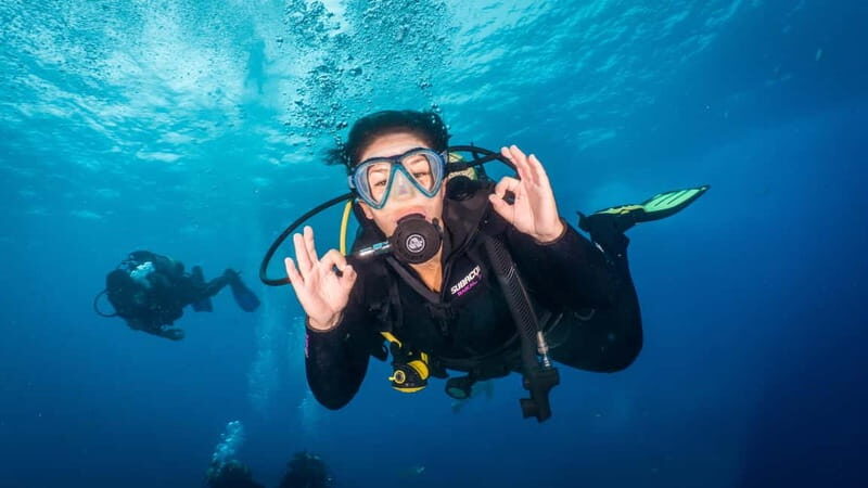 S. Tenerife: Exciting Boat Dive for Beginners to Turtle Bay - The Overview of the Dive Experience