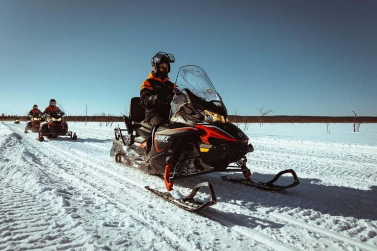 Saariselkä: One Hour Snowmobile Safari - The Itinerary: What to Expect