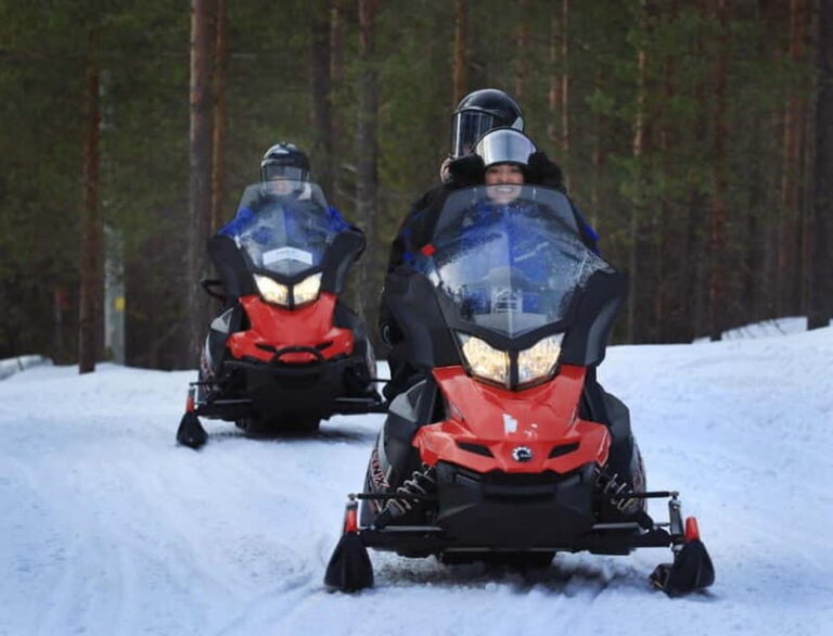 Saariselka: Snowmobile Safari on Tundra with BBQ - A Closer Look at the Snowmobile Safari Experience
