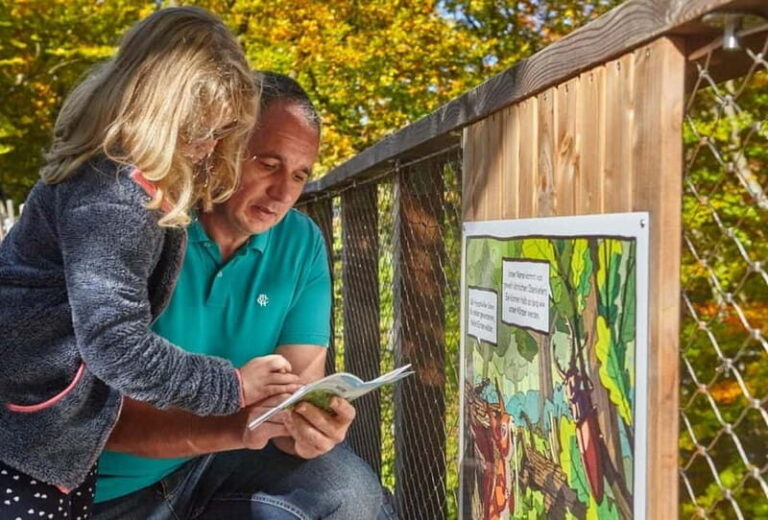 Saarland: Treetop Walk Saarschleife & Lookout Tower - Who Will Love This Experience?