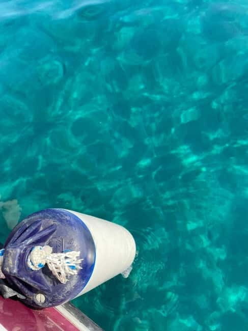 Sailing the Cilento coast: adventure, and serenity - What’s Included and What to Consider