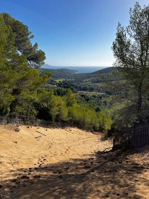 Saint-Cyr-sur-mer: guided hike to the Sand Dune - Who Will Love This Tour?