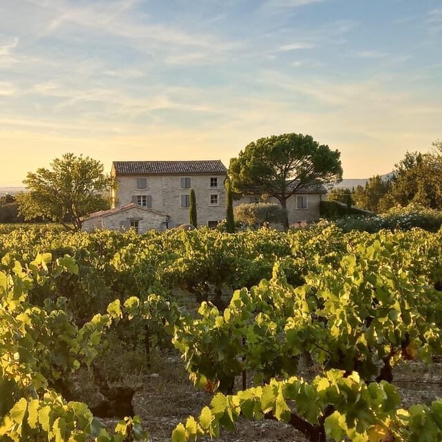Saint-Didier: visit a winery & taste organic wines - The Tasting in the Flower Gardens