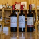 Saint-Émilion: Family Vineyard Visit with Wine Tasting - The Real-World Experience and What Travelers Say