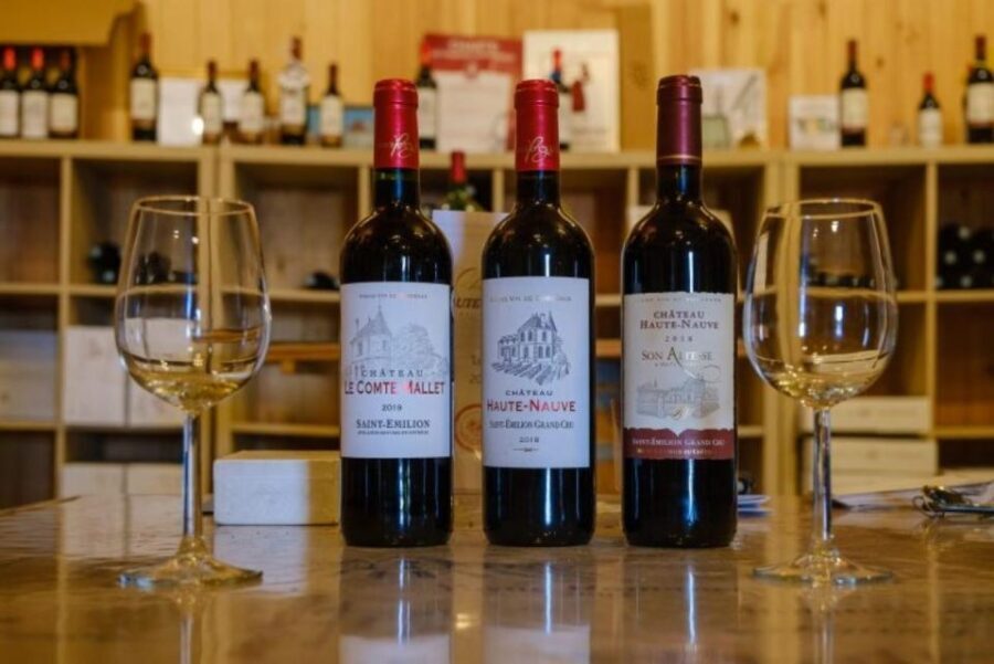 Saint-Émilion: Family Vineyard Visit with Wine Tasting - The Real-World Experience and What Travelers Say