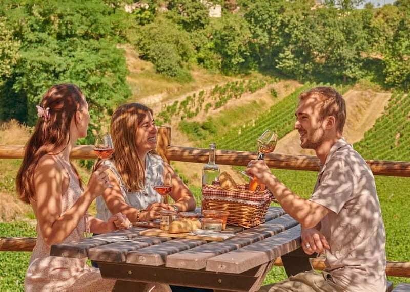 Saint-Emilion: Grand Cru Classé Guided Winery Visit & Picnic - Who Should Consider This Tour?