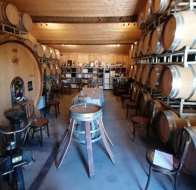 Saint-Emilion : Tasting of 4 wines in a family vineyard - A Closer Look at the Experience