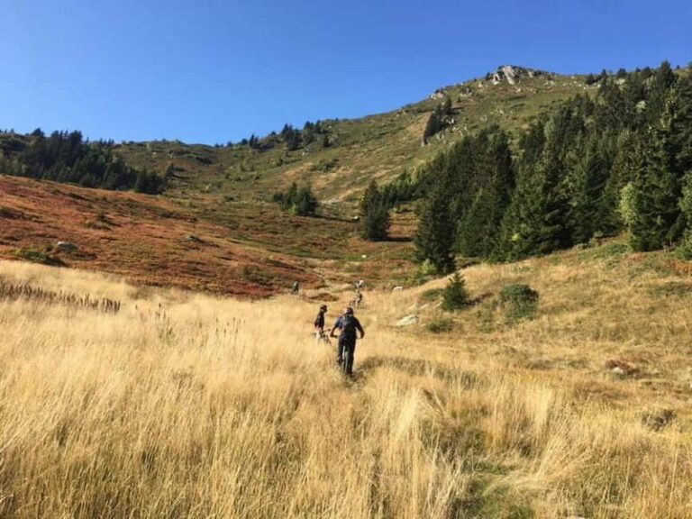 Saint-Georges d'Hurtières: Guided electric mountain bike tour (Enduro) - Final Thoughts