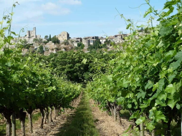 Saint-Martin-d'Ardèche: Electric Bike Wine Tour & Tasting - Final Thoughts
