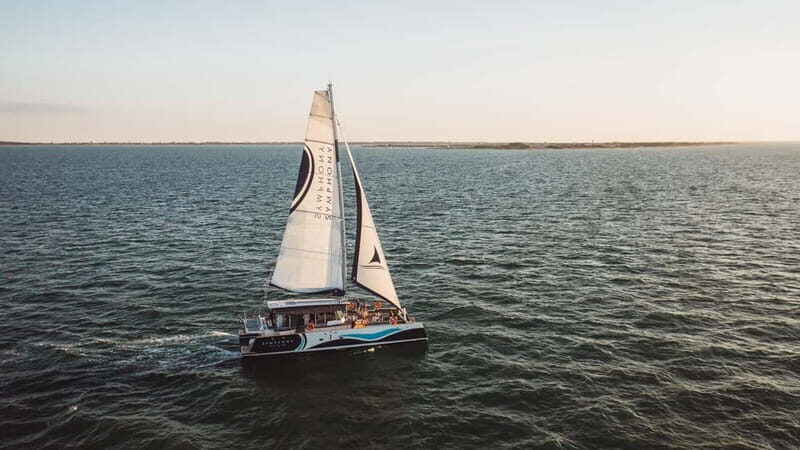 Saint-Martin-de-Ré : Sunset Catamaran Cruise (2h00) - The Value of the Experience